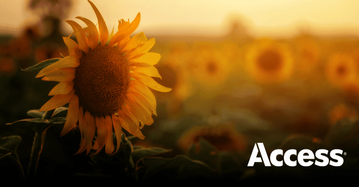 Placer les bonnes pratiques : guide de la gestion du cycle de vie de l&rsquo;information